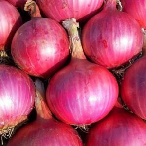 Fresh Onions