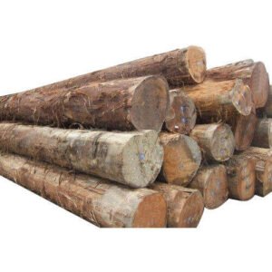 Wood Logs