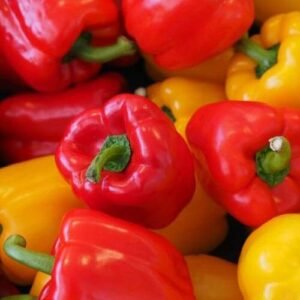 Fresh Peppers
