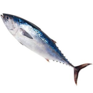 Tuna